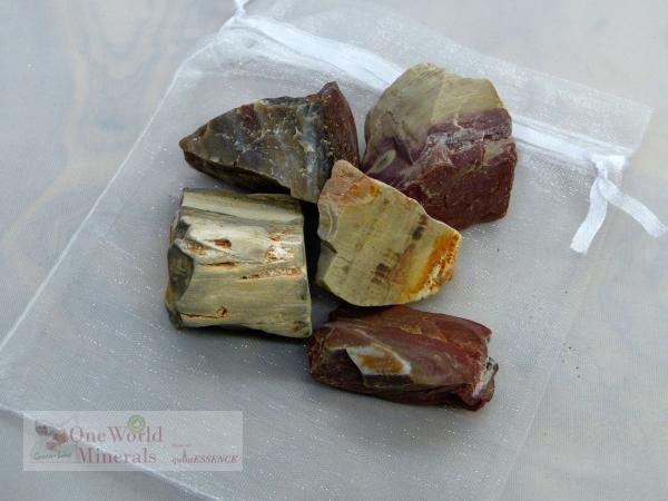 Versteinertes Holz Wassersteine  - quintESSENCE Wassersteine